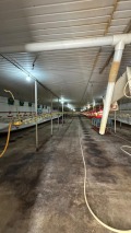 Продава БИЗНЕС ИМОТ, с. Голямо Соколово, област Търговище, снимка 3