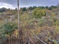Продава КЪЩА, област Кюстендил, с. Кременик • 80000 лв. • 65758384 — Holmes.bg