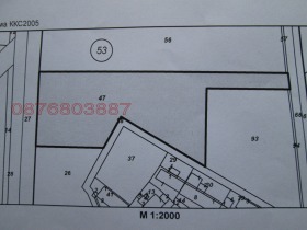 ����� ������� ������,�. �����������, ������ �������