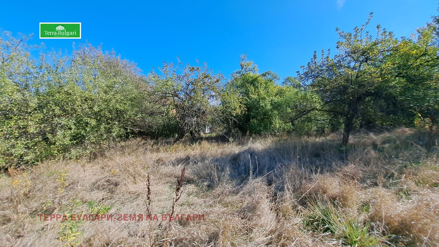 Продава ПАРЦЕЛ | Imot.bg — изображение 5