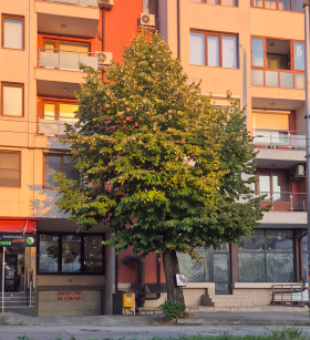 Zu verkaufen Garage