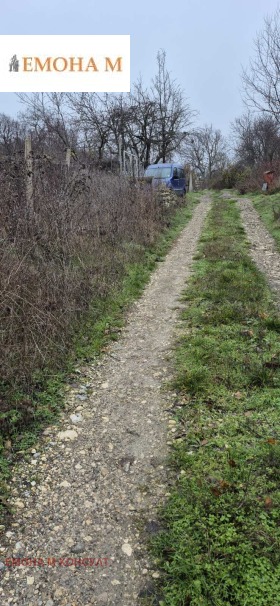 ����� ������� ������,�. �������, ������ �����