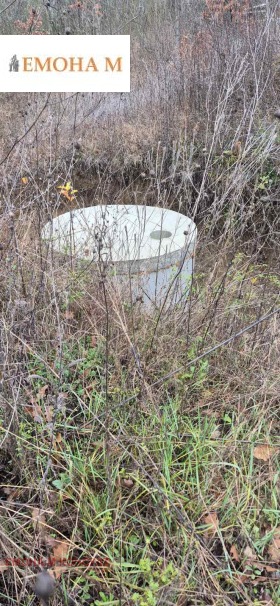 ����� ������� ������,�. �������, ������ �����>