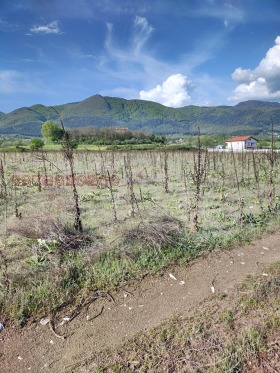 ������� ���������� ���� | Imot.bg � ����� ������ 4