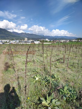 ������ ������� ���������� ����