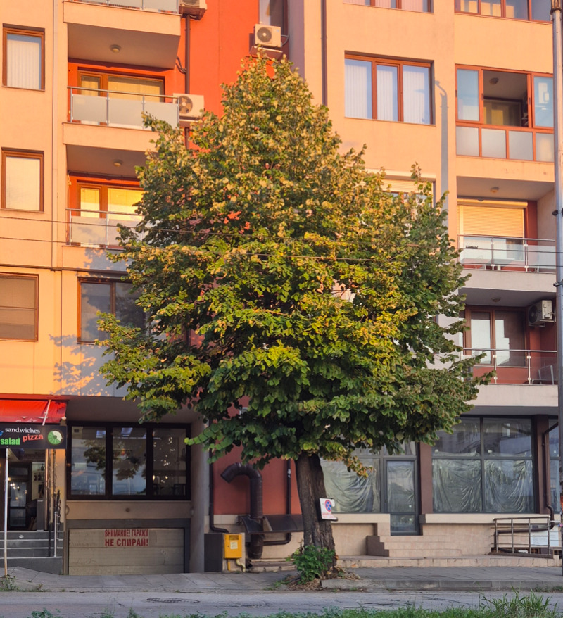À vendre  Garage Pleven , Chirok tsentar , 20 m² | 72325558