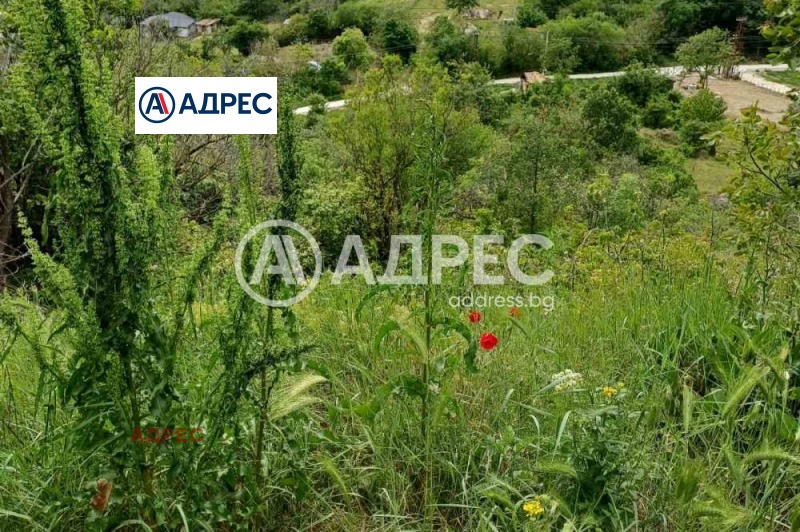 À vendre  Parcelle Varna , m-t Salzitsa , 1059 m² | 68400664 - image [3]