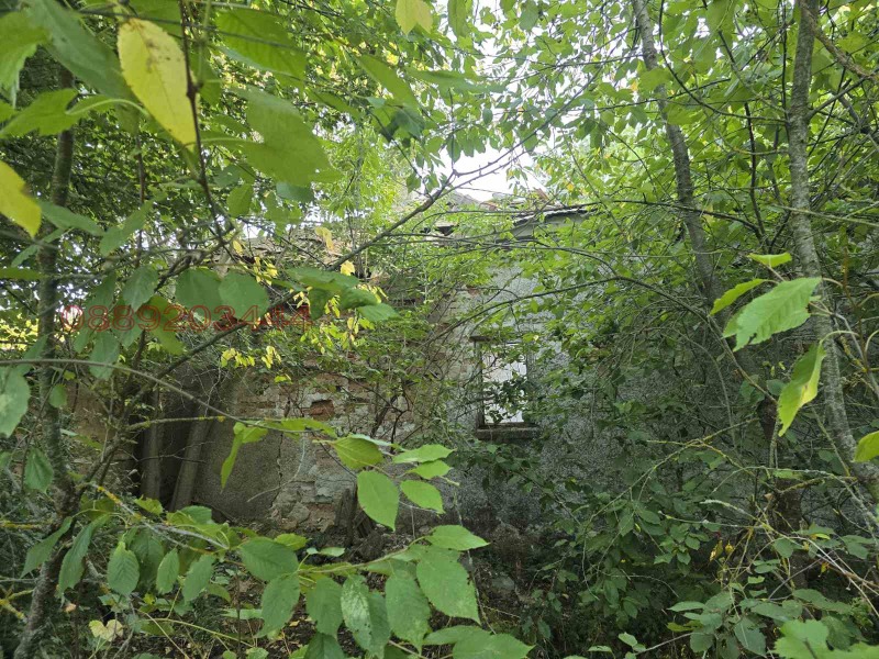 Продава ПАРЦЕЛ, с. Змеево, област Добрич, снимка 8 - Парцели - 52784848