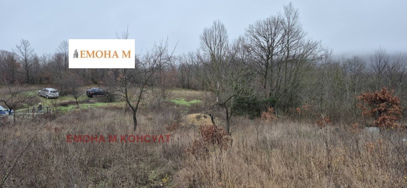 Продава ПАРЦЕЛ, с. Осеново, област Варна, снимка 7 - Парцели - 53074028