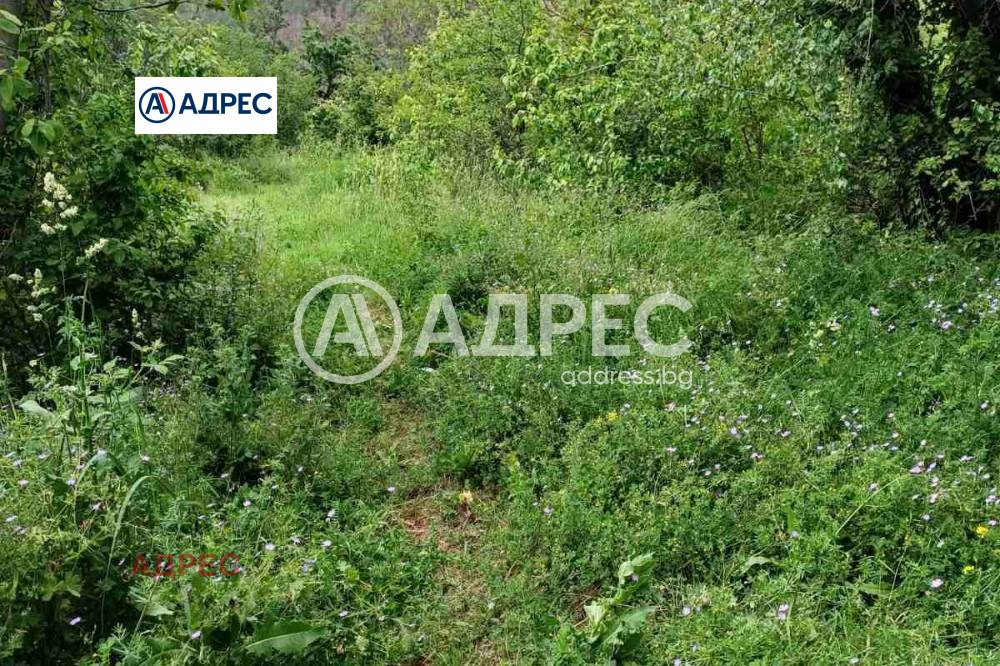 Продава ПАРЦЕЛ, гр. Варна, м-т Сълзица, снимка 2 - Парцели - 51972093