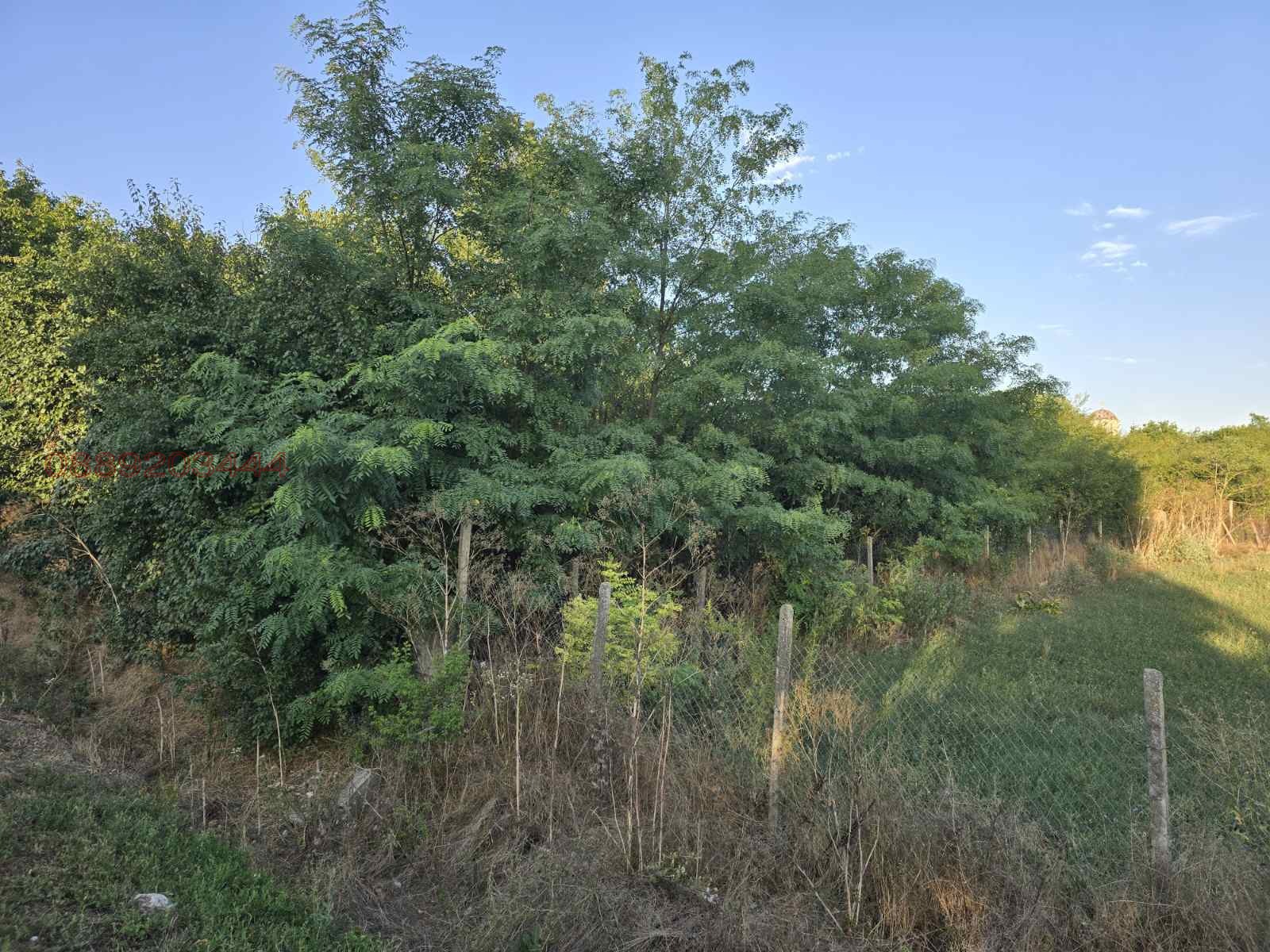 Продава ПАРЦЕЛ, с. Змеево, област Добрич, снимка 6 - Парцели - 54989529