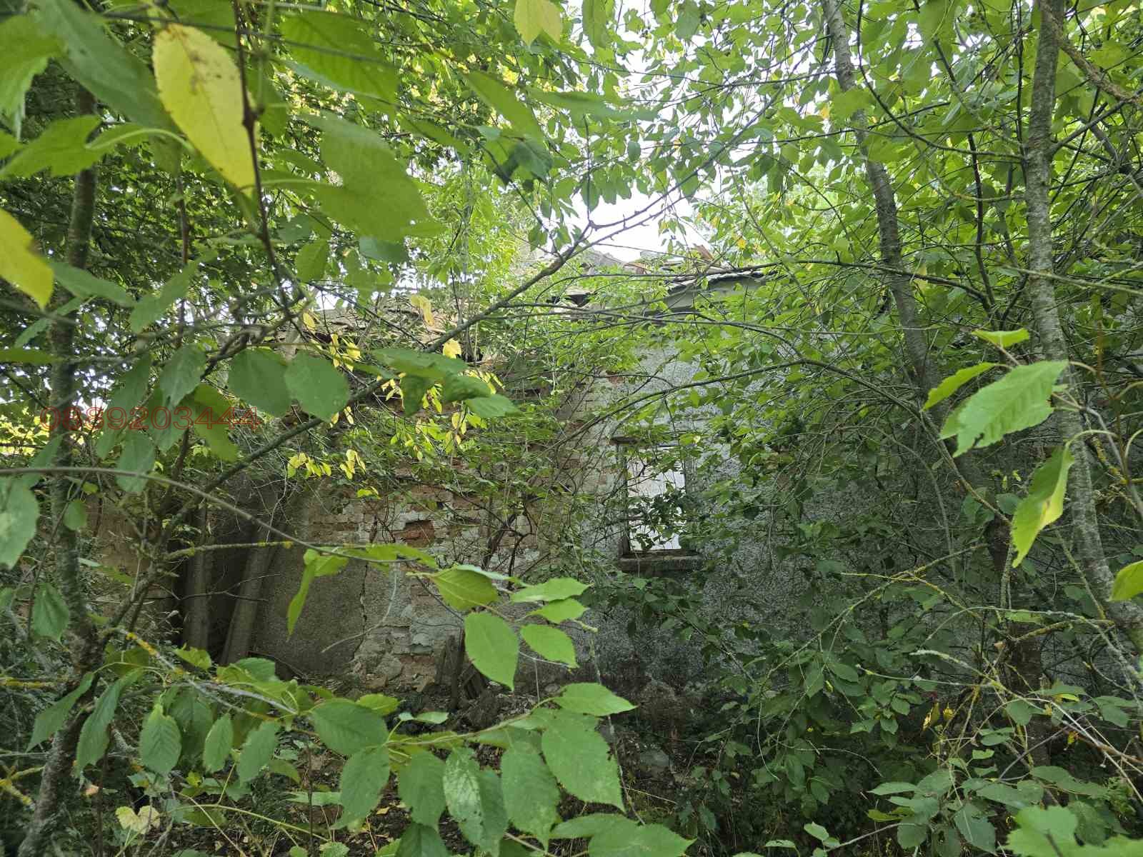 Продава ПАРЦЕЛ, с. Змеево, област Добрич, снимка 8 - Парцели - 54989529