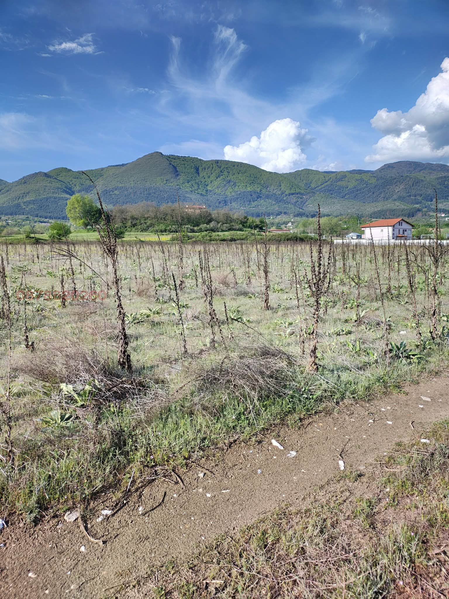 Продава ЗЕМЕДЕЛСКА ЗЕМЯ, гр. Гоце Делчев, област Благоевград, снимка 4 - Земеделска земя - 54106697