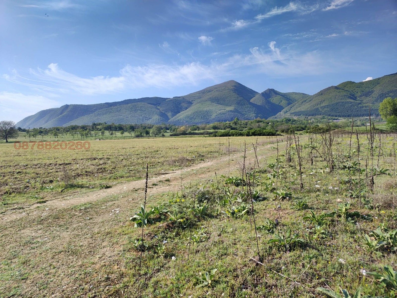 Продава ЗЕМЕДЕЛСКА ЗЕМЯ, гр. Гоце Делчев, област Благоевград, снимка 6 - Земеделска земя - 54106697