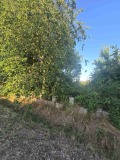 Продава ПАРЦЕЛ, с. Змеево, област Добрич, снимка 3