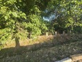 Продава ПАРЦЕЛ, с. Змеево, област Добрич, снимка 5