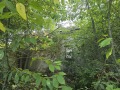 Продава ПАРЦЕЛ, с. Змеево, област Добрич, снимка 8