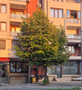Продава ГАРАЖ, ПАРКОМЯСТО, град Плевен, Широк център • 28000 € / 54763.24 лв. • 24007421 1