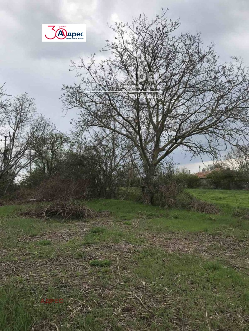 Продава ПАРЦЕЛ в област Варна, с. Равна - 1500 кв.м / 9 000 € » 17 602.47 лв., АДРЕС
