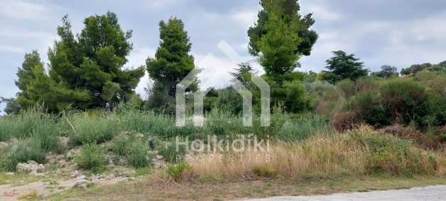 ������� ������ | Imot.bg � ����������� 8