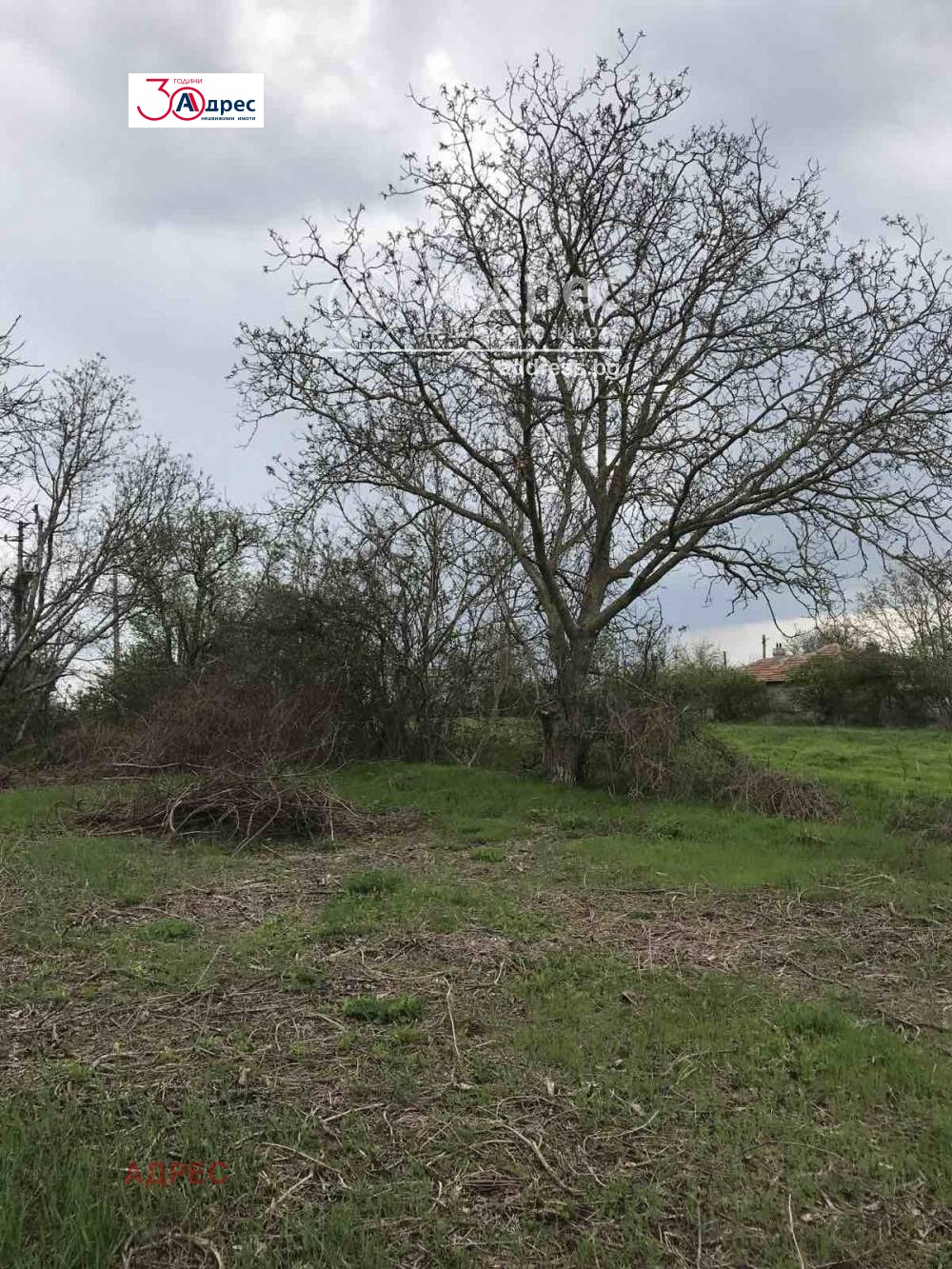 ������� ������ | Imot.bg � ����������� 1