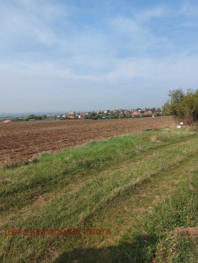 ������ ������� ������