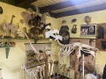 Продава КЪЩА, с. Брестница, област Ловеч, снимка 9