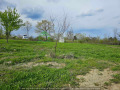 Продава ПАРЦЕЛ, област Бургас, гр. Обзор • 556100 € • 13034173 — Holmes.bg