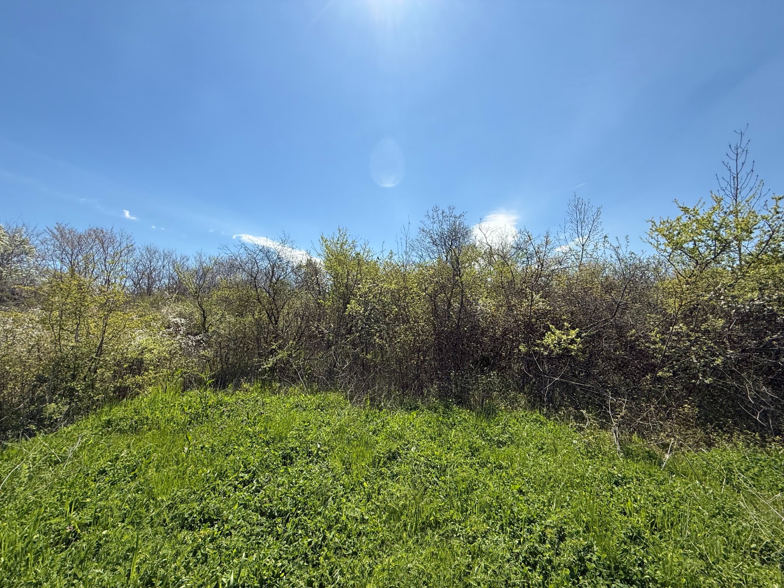 ������� ������ | Imot.bg � ����������� 2