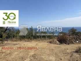 ����� ������� ������,���� �����, �-� ������