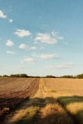 Продава ЗЕМЕДЕЛСКА ЗЕМЯ, с. Мусачево, област София област, снимка 2