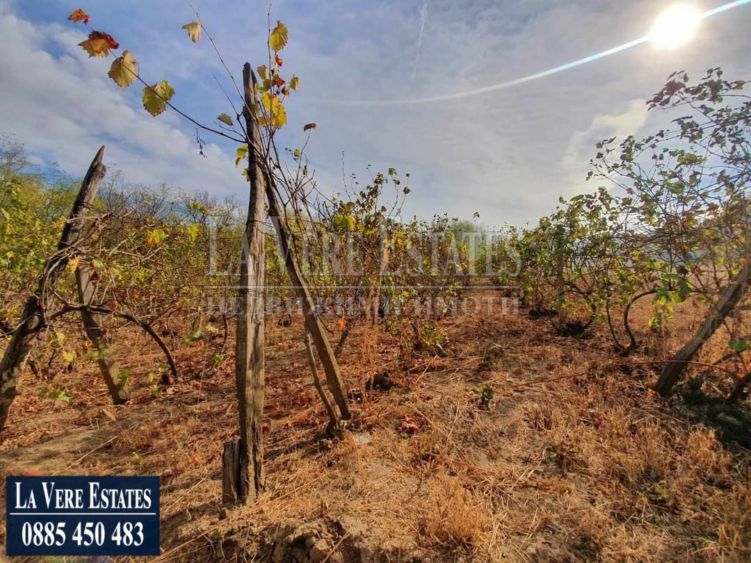 Продава ПАРЦЕЛ | Imot.bg — изображение 4