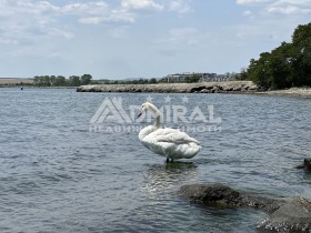 Studio Pomorie, région Bourgas 13