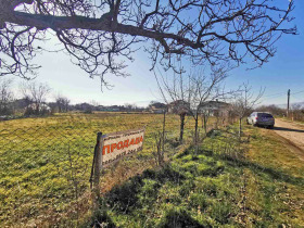 ����� ������� ������,�. ��������, ������ �������