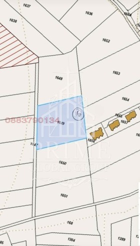 ����� ������� ������,���� ������, ������