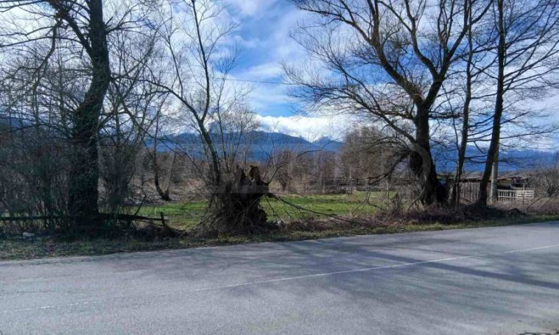 Продава ПАРЦЕЛ, с. Баня, област Благоевград, снимка 4 - Парцели - 53431840