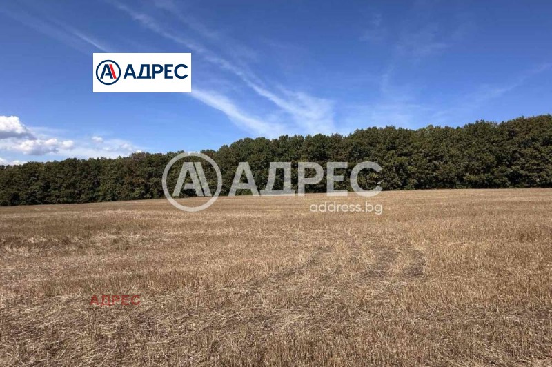Продава ПАРЦЕЛ в област Варна, с. Юнец - 5400 кв.м / 162 000 € » 316 844.46 лв., АДРЕС