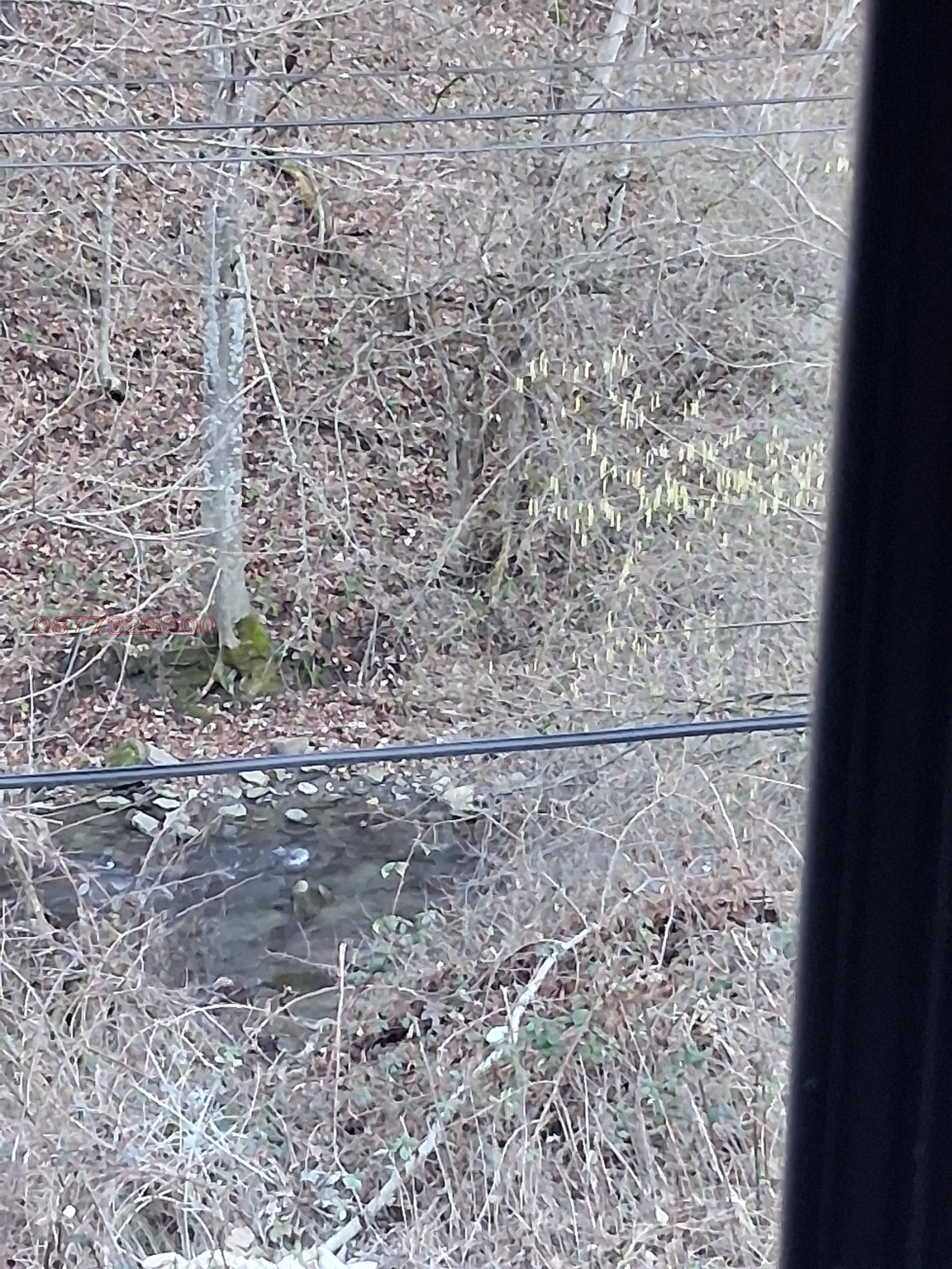 ������� ���� | Imot.bg � ����������� 17