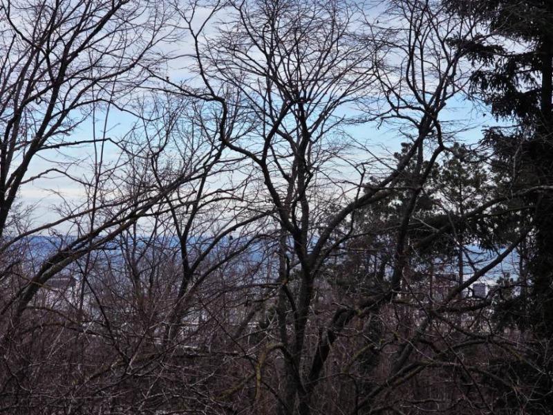 Продава 2-СТАЕН, гр. Варна, област Варна, снимка 2 - Апартаменти - 53130429