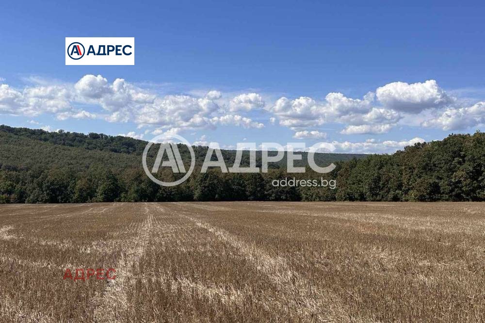 Продава ПАРЦЕЛ, с. Юнец, област Варна, снимка 2 - Парцели - 53901575