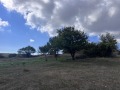 Продава ПАРЦЕЛ, област Варна, с. Кичево • 40000 € • 94366914 — Holmes.bg