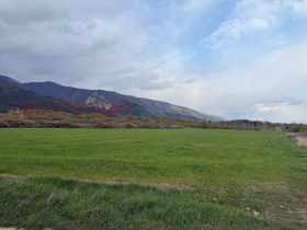 ������ ������� ���������� ����