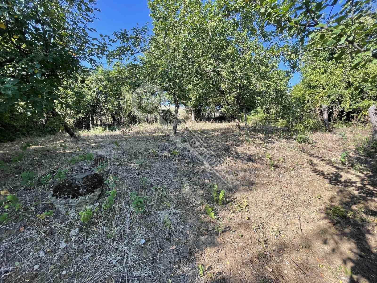 Продава ПАРЦЕЛ, с. Джулюница, област Велико Търново, снимка 2 - Парцели - 55553935