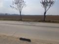 Продава ПАРЦЕЛ, с. Григорево, област София област, снимка 2