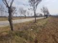 Продава ПАРЦЕЛ, с. Григорево, област София област, снимка 1