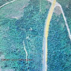 ����� ������� ������,�. ����������, ������ ������ �������