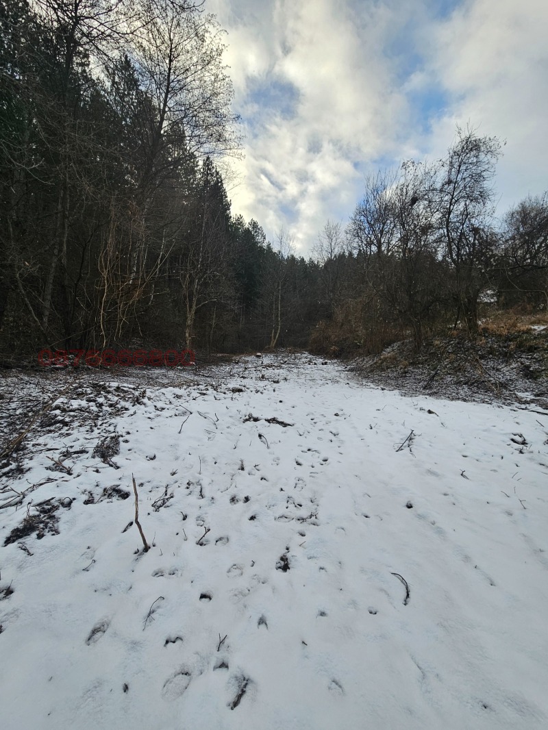 Продава ПАРЦЕЛ, гр. Кюстендил, Върташево, снимка 2 - Парцели - 52754638