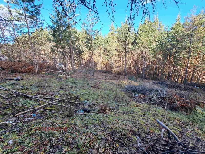 Продава ПАРЦЕЛ в град София, м-т яз. Искър - 600 кв.м / 32 000 € » 62 586.56 лв., СУПЕРХОУМ