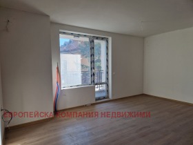 ����� ������� 2-�����,���� �����, ���� �����