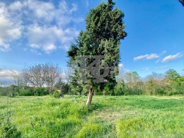 Zu verkaufen  Handlung region Varna , Sadowo , 635 qm | 23130003 - Bild [2]
